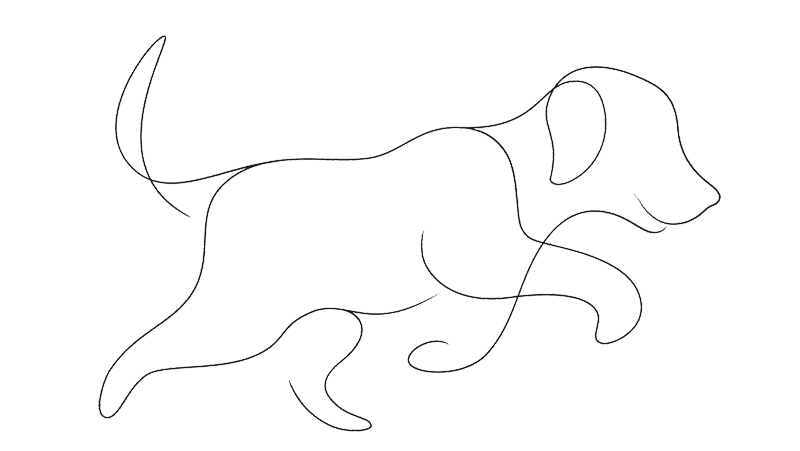 Create Your Little Paws