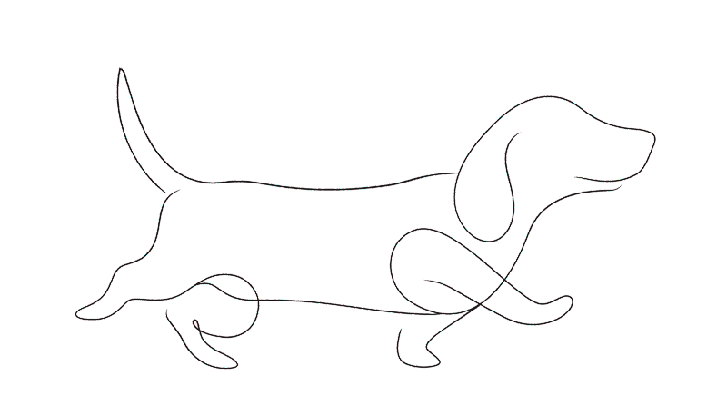 Create Your Little Paws