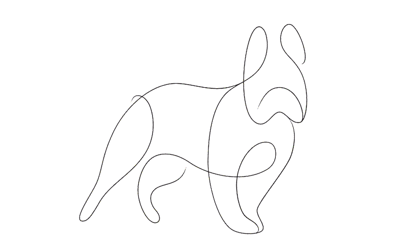 Create Your Little Paws