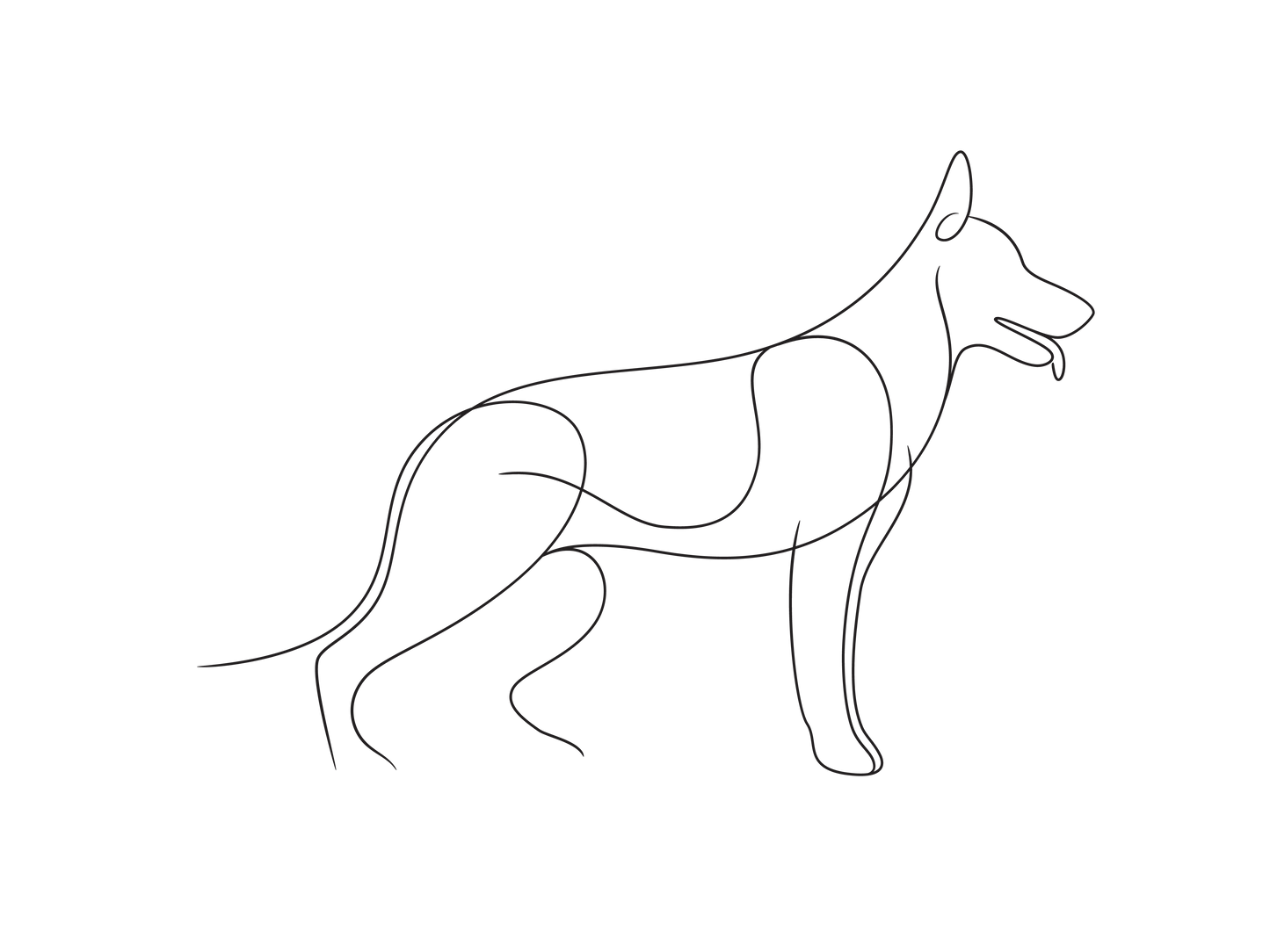 Create Your Little Paws