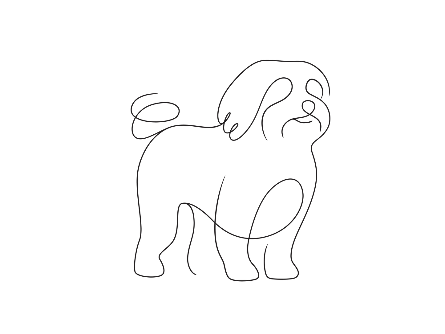 Create Your Little Paws