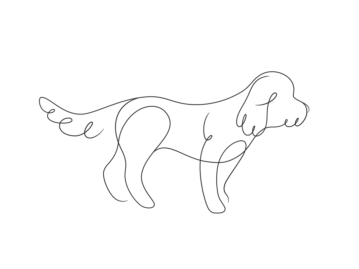 Create Your Little Paws