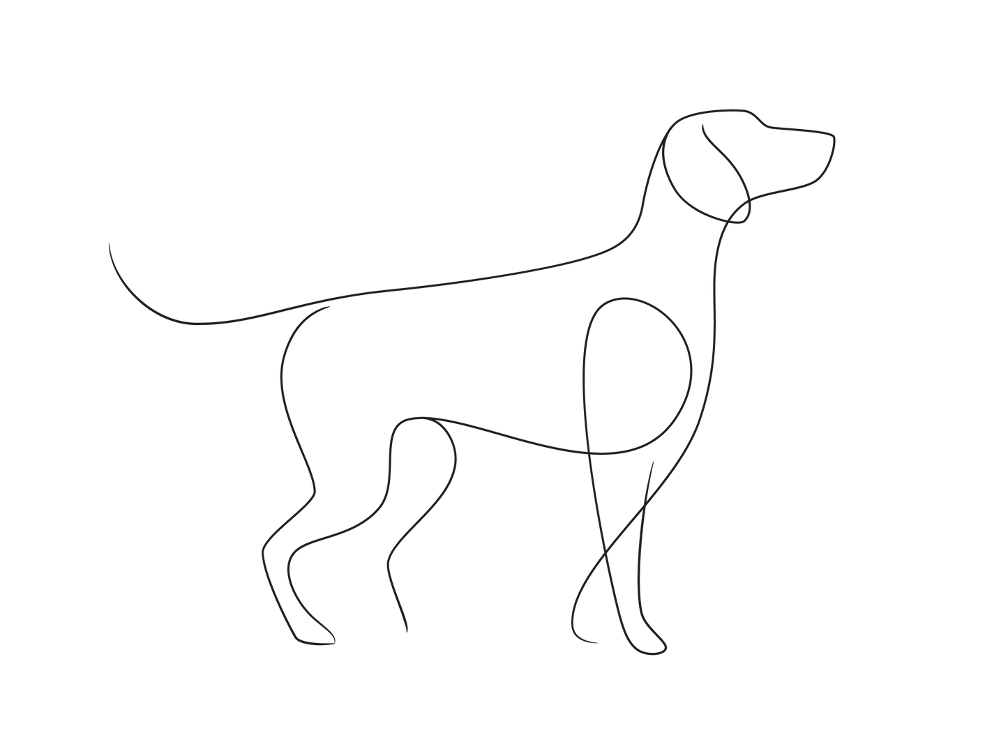 Create Your Little Paws