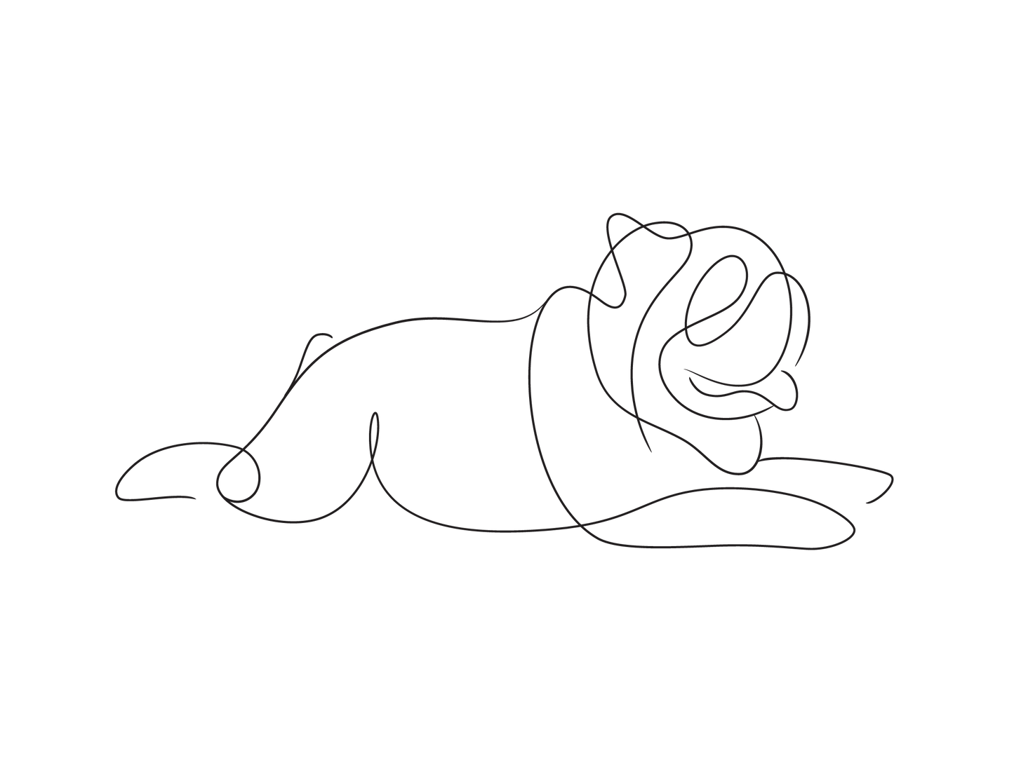 Create Your Little Paws