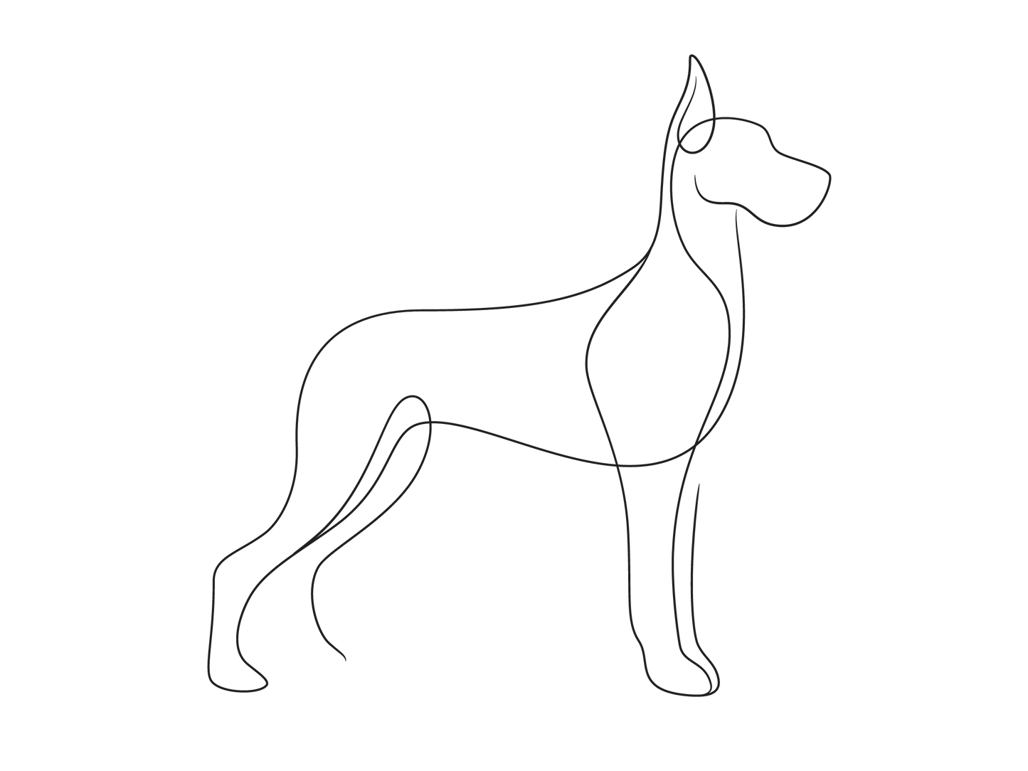 Create Your Little Paws