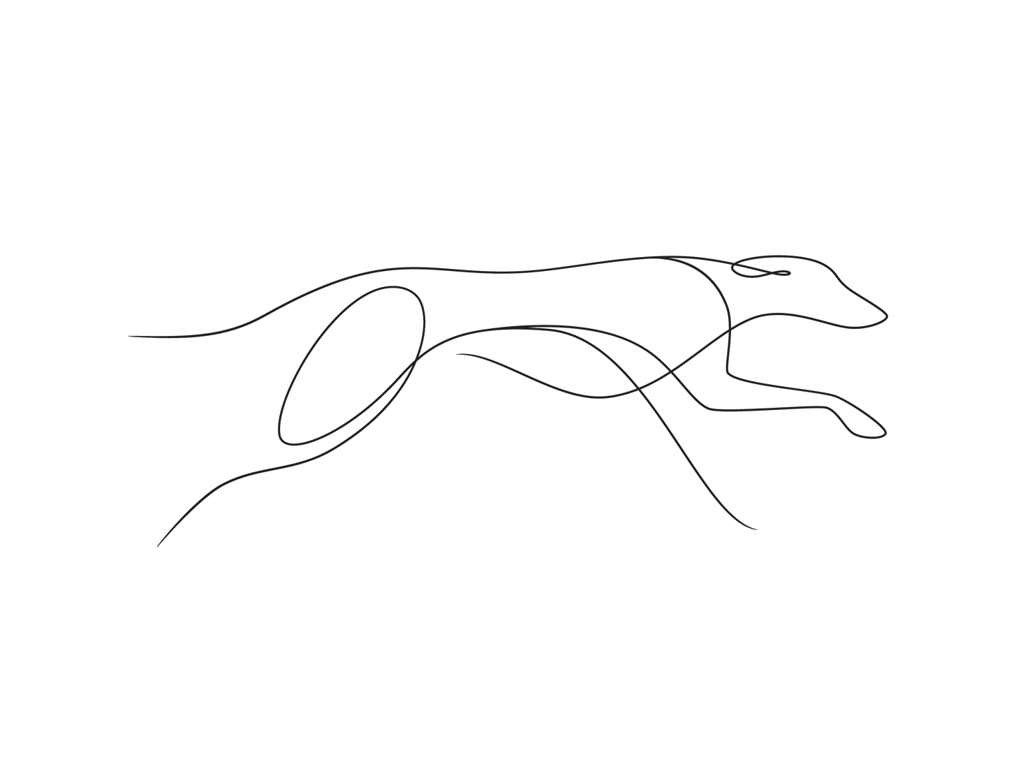 Create Your Little Paws