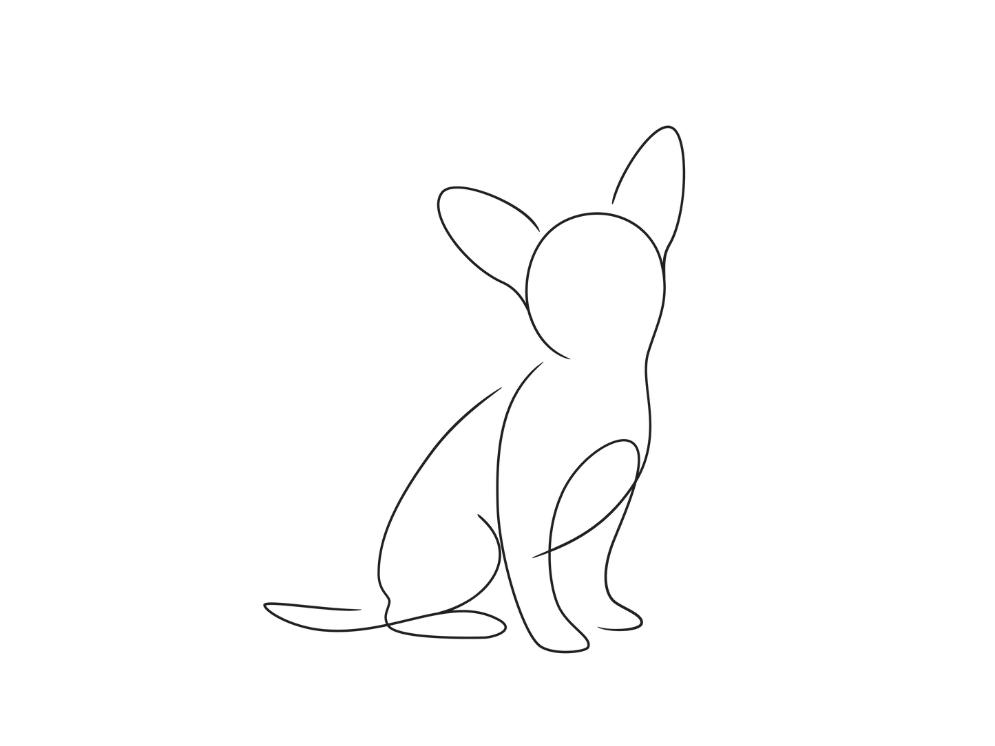 Create Your Little Paws